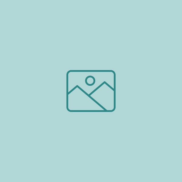 Polkadot Digest 1 May 2025