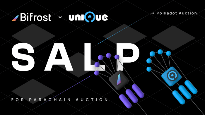 Bifrost SALP Supports Polkadot Crowdloan for Unique Network!